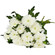 белые хризантемы одноголовые. Румыния